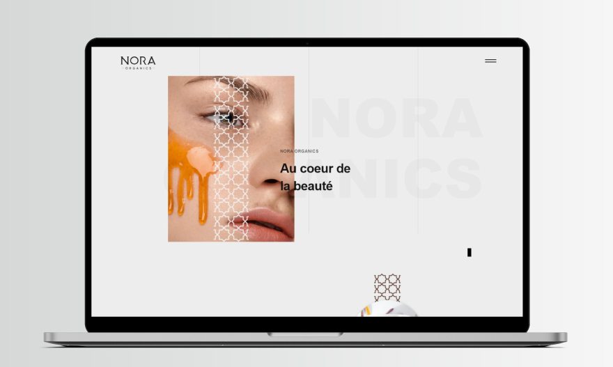 afrilio's client Nora Organics